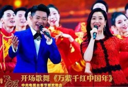 春晚演员爆料最新视频,揭秘幕后精彩瞬间与幕后故事