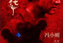 芳华在线 观看,青春岁月的深情回望