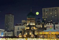 哈尔滨都市爆料最新消息,最新突发事件引发社会关注